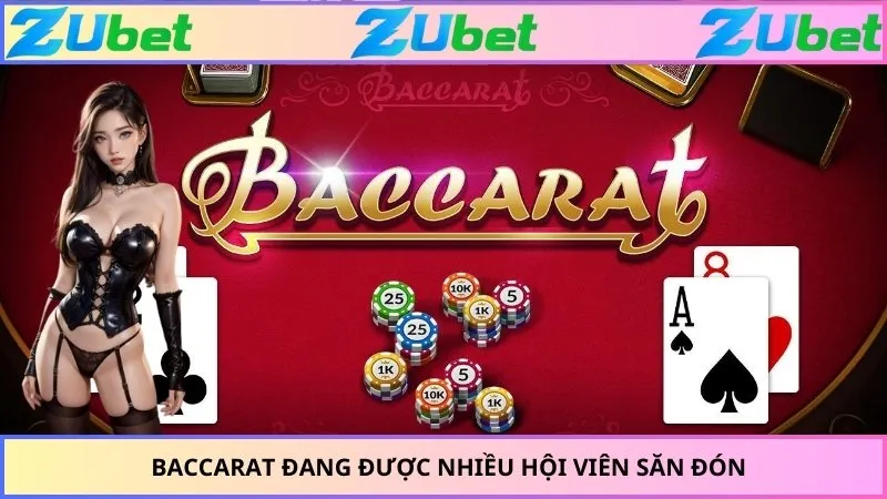 Baccarat đang được nhiều hội viên săn đón