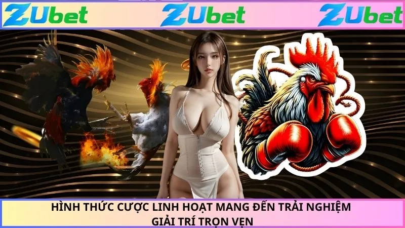 Hình thức cược linh hoạt mang đến trải nghiệm giải trí trọn vẹn
