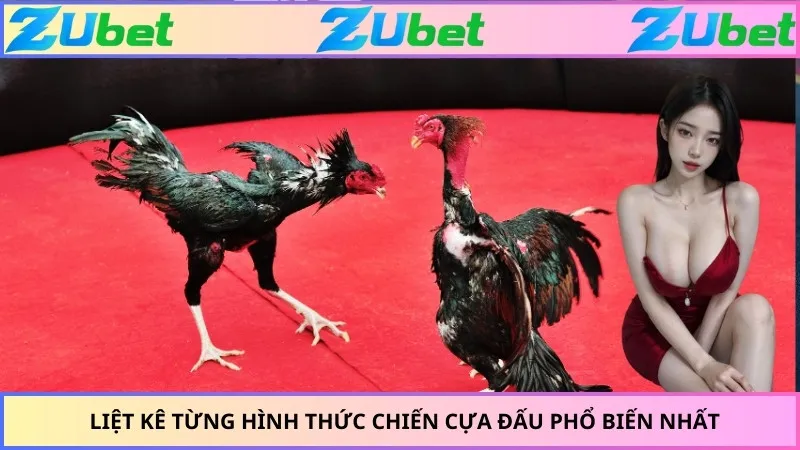 Liệt kê từng hình thức chiến cựa đấu phổ biến nhất