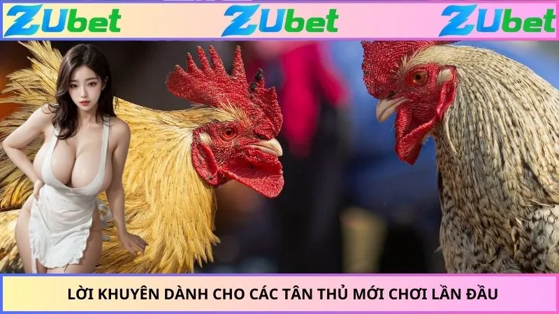 Lời khuyên dành cho các tân thủ mới chơi lần đầu