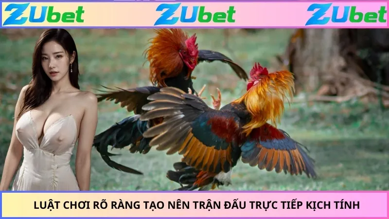 Luật chơi rõ ràng tạo nên trận đấu trực tiếp kịch tính