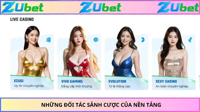 Những đối tác sảnh cược của nền tảng