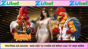 Trường Gà Savan - Nơi Hội Tụ Chiến Kê Đỉnh Cao Từ Mọi Miền