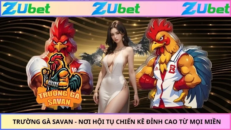 Trường Gà Savan - Nơi Hội Tụ Chiến Kê Đỉnh Cao Từ Mọi Miền