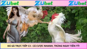 Đá Gà Trực Tiếp C3 - Cá Cược Nhanh, Trúng Ngay Tiền Tỷ!
