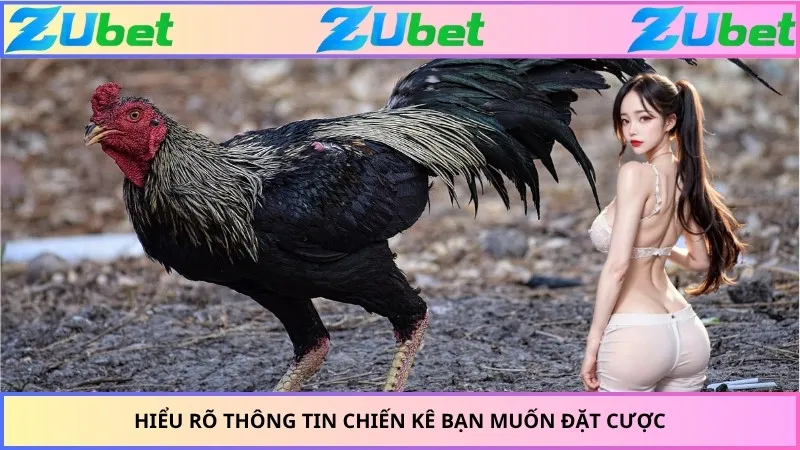 Hiểu rõ thông tin chiến kê bạn muốn đặt cược