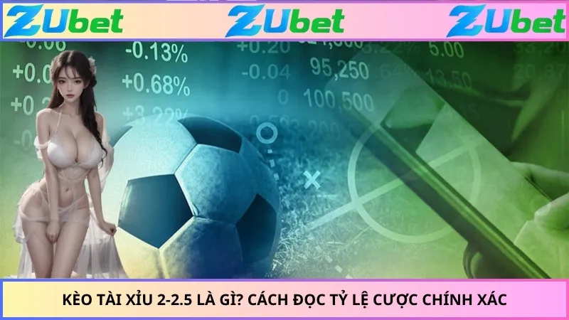 Kèo Tài Xỉu 2-2.5 Là Gì? Cách Đọc Tỷ Lệ Cược Chính Xác