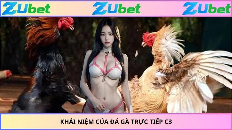 Khái niệm của đá gà trực tiếp C3