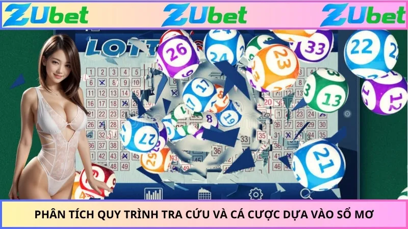 Phân tích quy trình tra cứu và cá cược dựa vào sổ mơ