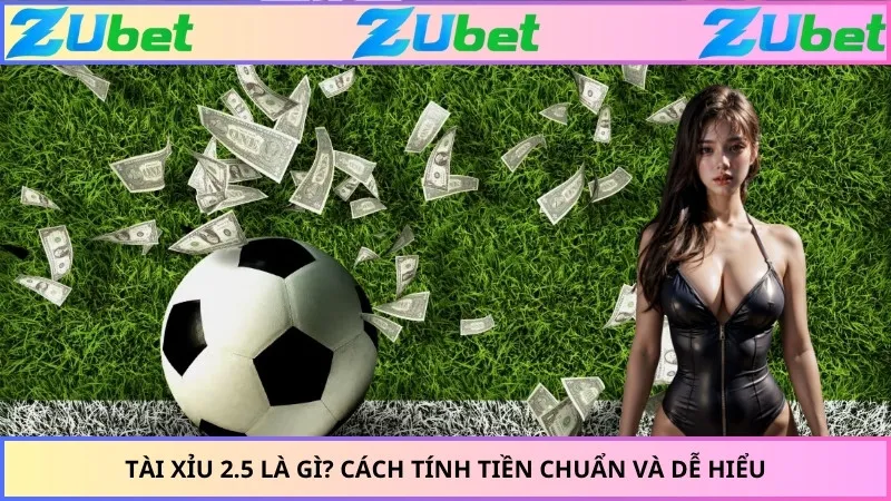 Tài xỉu 2.5 là gì? Cách tính tiền chuẩn và dễ hiểu
