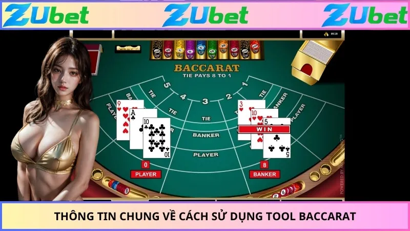 Thông tin chung về cách sử dụng tool baccarat