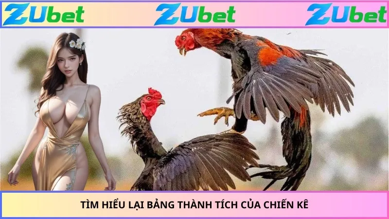 Tìm hiểu lại bảng thành tích của chiến kê