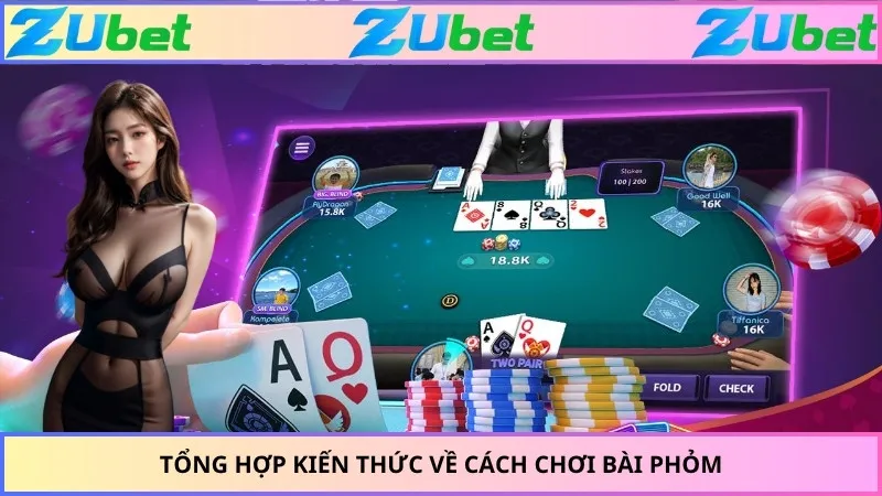 Tổng hợp kiến thức về cách chơi bài phỏm