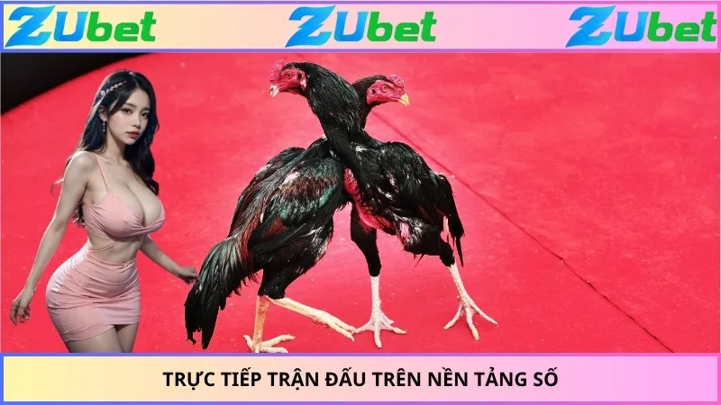 Trực tiếp trận đấu trên nền tảng số