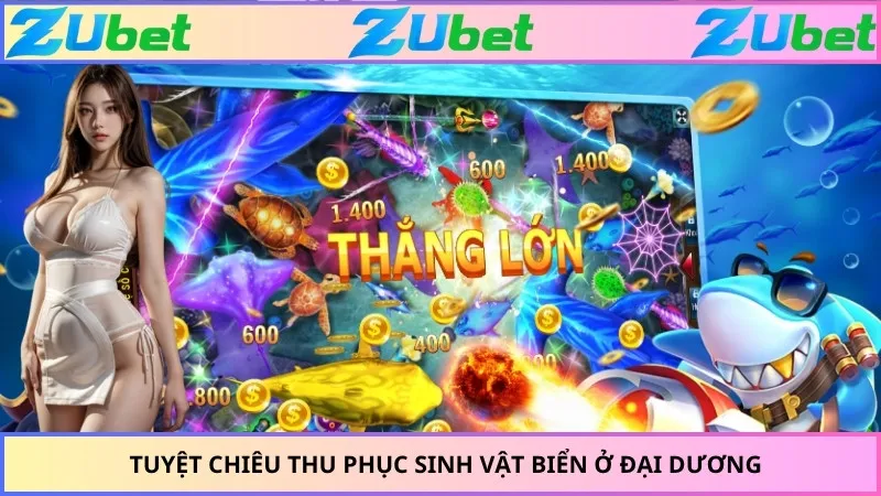 Tuyệt chiêu thu phục sinh vật biển ở đại dương