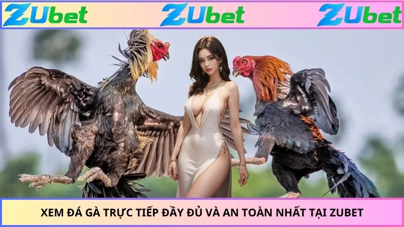 Xem Đá Gà Trực Tiếp Đầy Đủ Và An Toàn Nhất Tại ZUBET